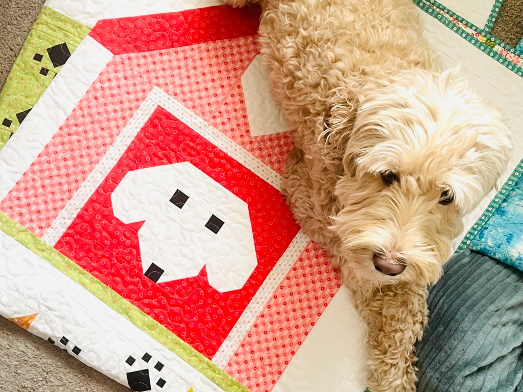 Dog House Quilt Block – Month 4 – My Little Adventure Quilt